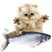 Load image into Gallery viewer, Exciting Flopping Fish
