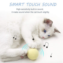 Load image into Gallery viewer, Smart Cat Toys Interactive Ball
