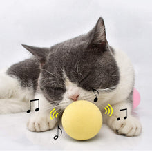 Load image into Gallery viewer, Smart Cat Toys Interactive Ball
